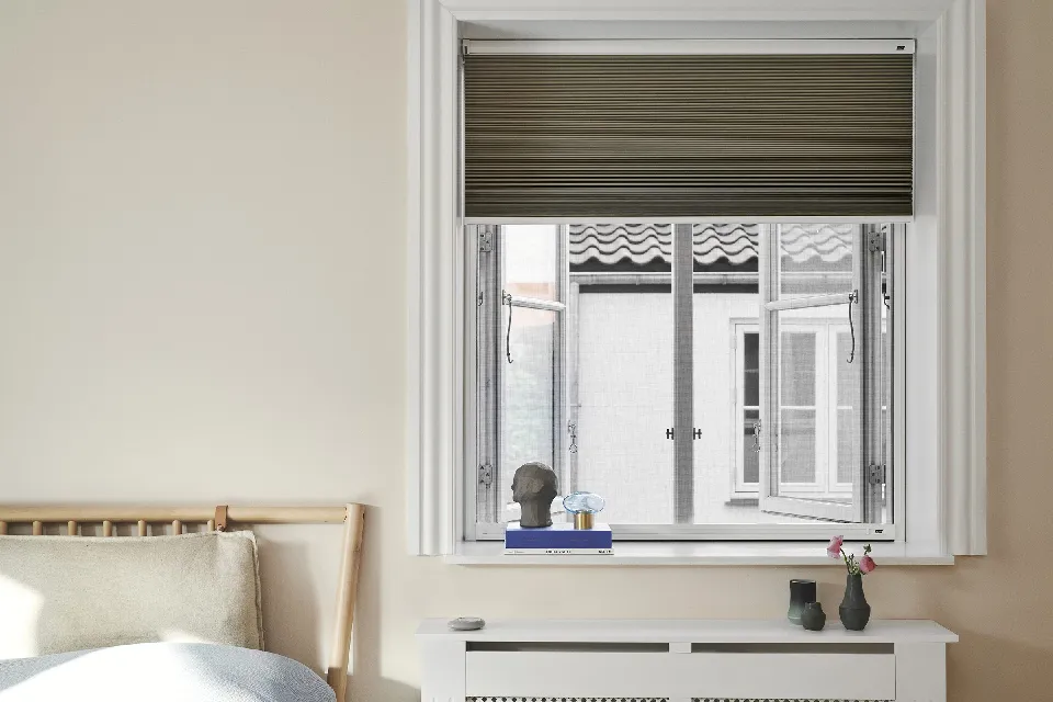 Fönster med insektsnät och en rullgardin ovanför